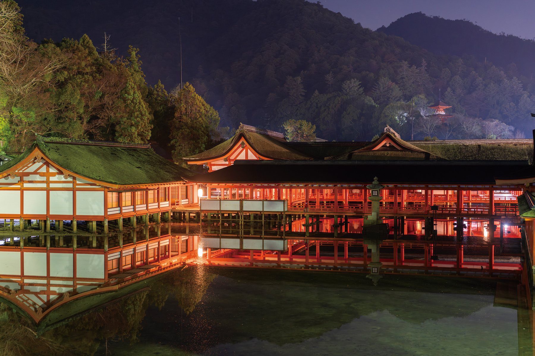 夜、朱に灯る嚴島神社の社殿と回廊