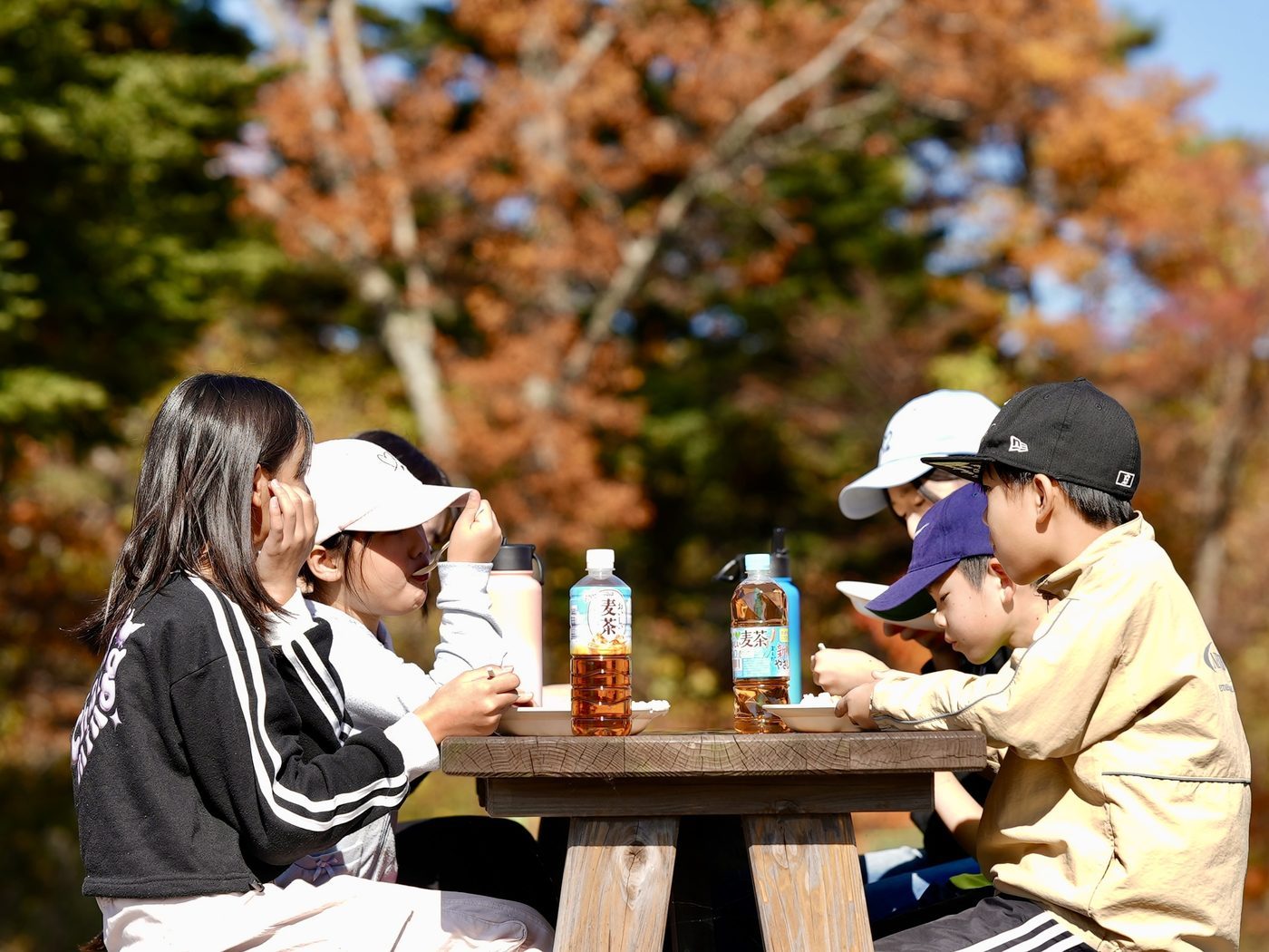 紅葉の下、木のテーブルで食事する人々