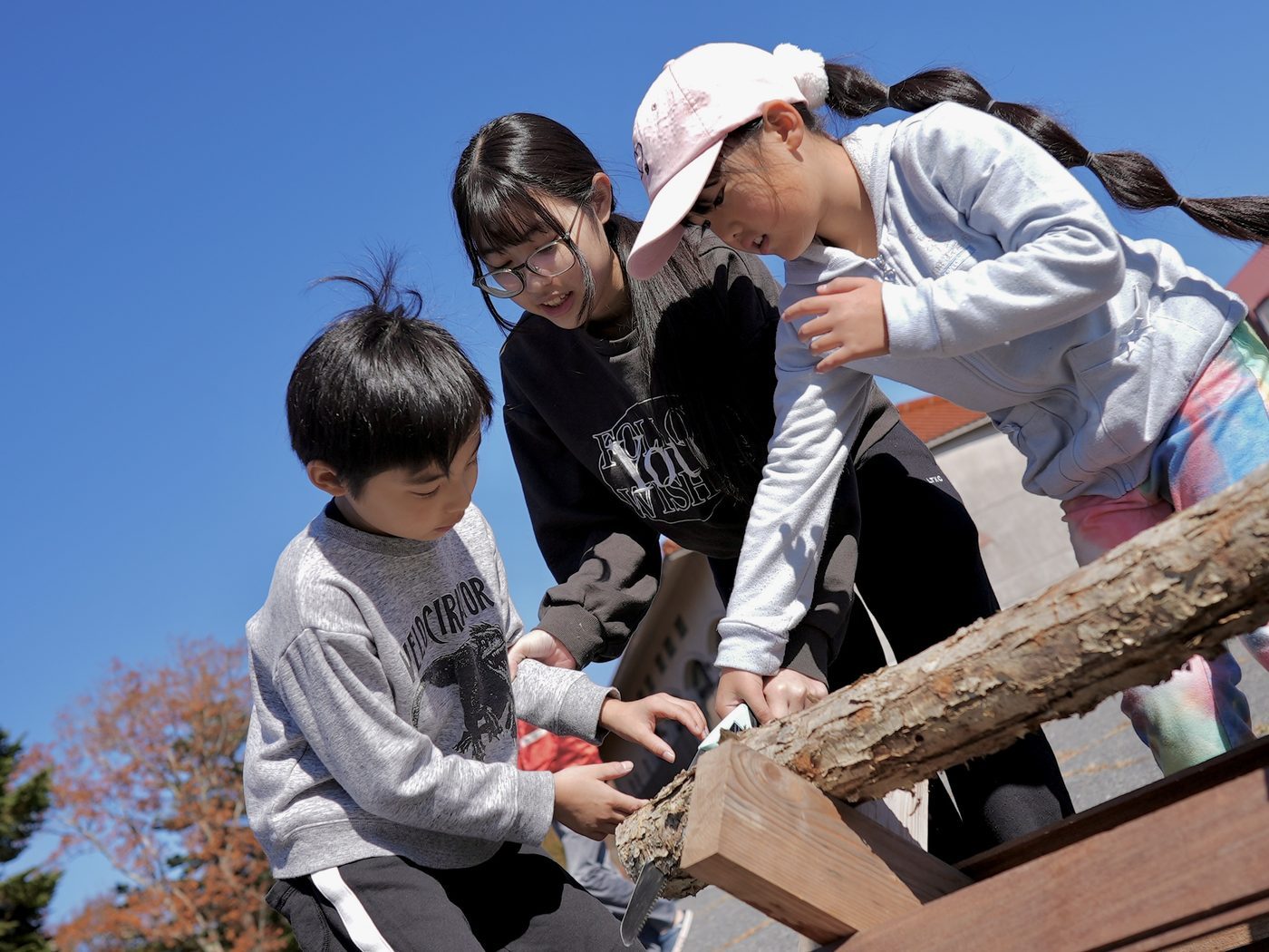 青空の下、鋸で木を挽く子どもたち